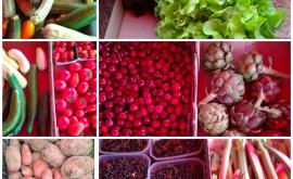 Les Vergers de la Frestellée 2 - Au rendez-vous des Normands