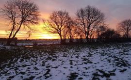 Le champ des possibles 1 - Au rendez-vous des Normands