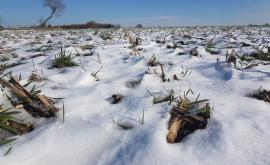 Le champ des possibles 3 - Au rendez-vous des Normands