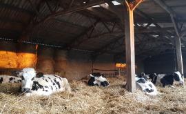 Le champ des possibles 4 - Au rendez-vous des Normands