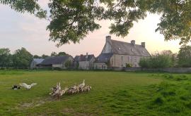 Ferme de Franqueville - Au rendez-vous des Normands