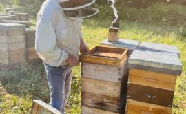 la Miellerie de Chamblac - Au rendez-vous des Normands