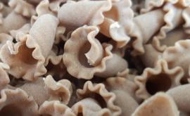 Les Goulues - Au rendez-vous des Normands