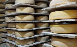 La Ferme des Cara-Meuh - Au rendez-vous des Normands