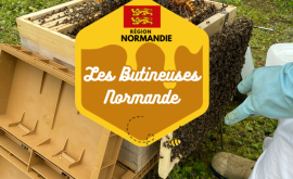 Les Butineuses Normande - Au rendez-vous des Normands
