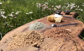 La Belle Verte production - Au rendez-vous des Normands