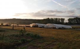 La Petit Surface extérieur - Au rendez-vous des Normands