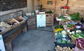 La Petit Surface boutique - Au rendez-vous des Normands