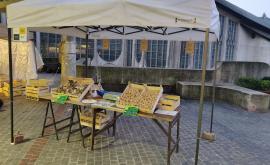 GAEC Champis en Seine - Au rendez-vous des Normands