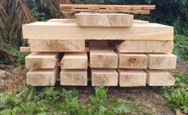 ABC-FOREST - Au rendez-vous des Normands