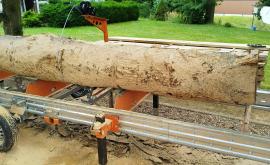 ABC-FOREST - Au rendez-vous des Normands