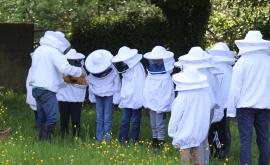 Rucher de la BOUVRIE ruches 2 - Au rendez-vous des Normands