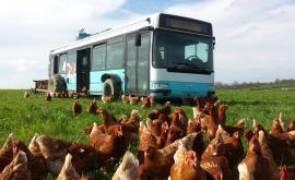 La Ferme des Cara-Meuh produits - Au rendez-vous des Normands