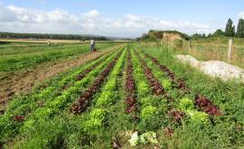 L'bio du coin - Au rendez-vous des Normands