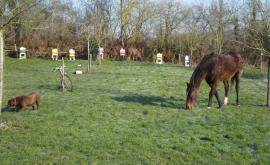 Rucher de la BOUVRIE ruches - Au rendez-vous des Normands