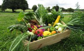 L'bio du coin - Au rendez-vous des Normands