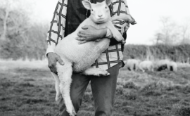 Ferme de Franqueville - Au rendez-vous des Normands