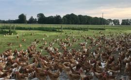 Ferme Hebert extérieur1 - Au rendez-vous des Normands