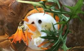 Le quatorze - Au rendez-vous des Normands