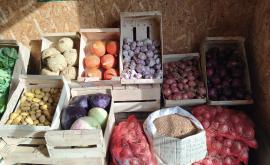 Gaec de Tilleul légumes 1 - Au rendez-vous des Normands