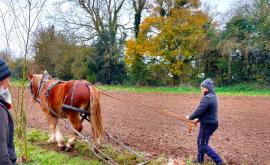 Cosmhana produit 2 - Au rendez-vous des Normands