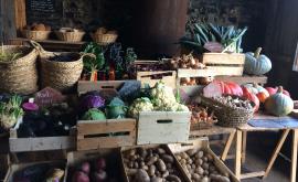 La Petit Surface boutique - Au rendez-vous des Normands