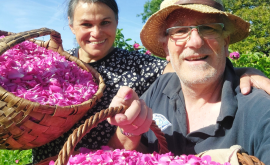 Cosmhana produit - Au rendez-vous des Normands