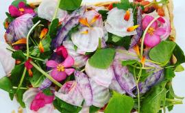 Le quatorze - Au rendez-vous des Normands