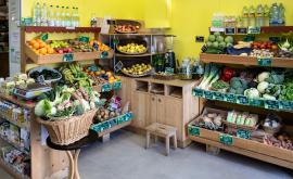 Le tournesol - Au rendez-vous des Normands