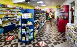 Le tournesol - Au rendez-vous des Normands