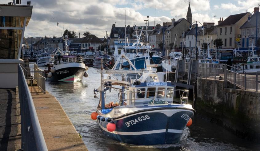 Face à la surpêche, zoom sur la pêche responsable, sélective et locale en Normandie - Au rendez-vous des Normands