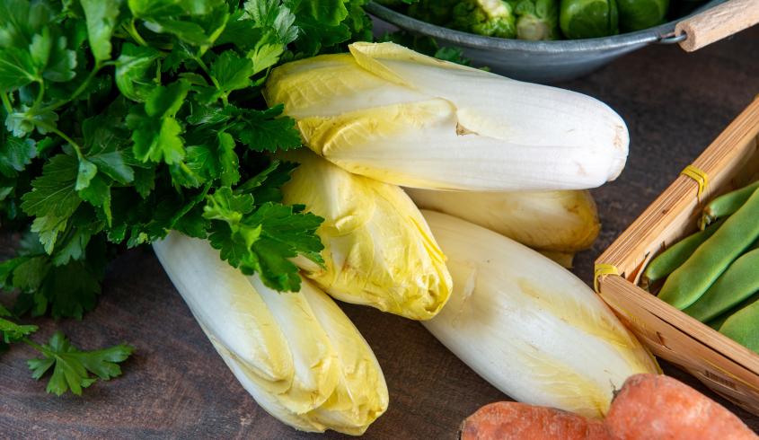 Le légume du mois d'avril l endive