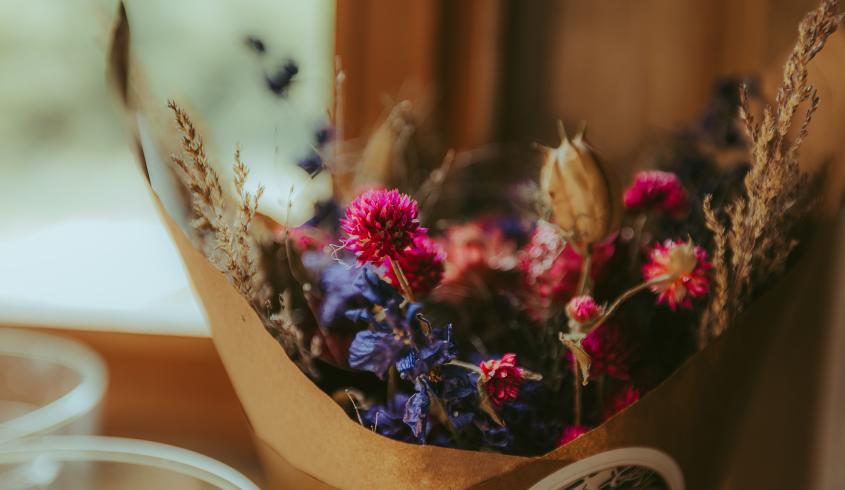 Fleurs de la Clarté (© Pierre Galliot - Région Normandie)
