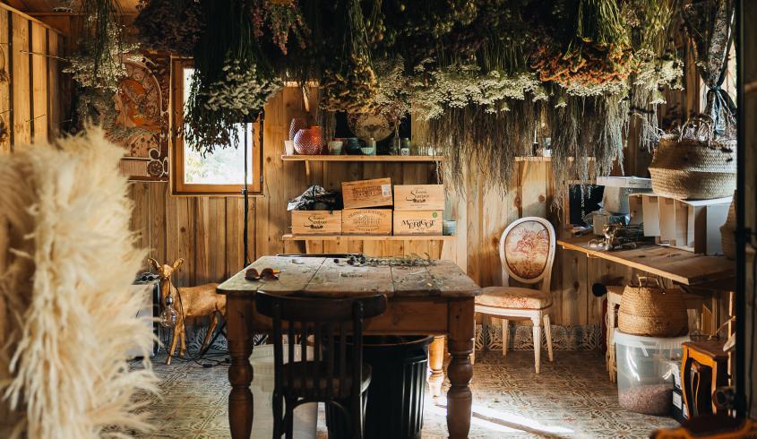 Fleurs de la Clarté (© Pierre Galliot - Région Normandie)