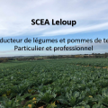 Scea Leloup - Au rendez-vous des Normands