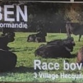 Ferme Eben - Au rendez-vous des Normands