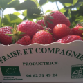 Fraise et compagnie - Au rendez-vous des Normands