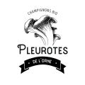 Pleurotes de l'Orne - Au rendez-vous des Normands