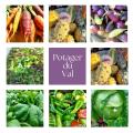 Le potager du Val - Au rendez-vous des Normands