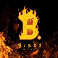Birdz Wear - Au rendez-vous des Normands