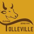 Elevage de tolleville - Au rendez-vous des Normands