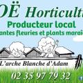 Noe production - Au rendez-vous des Normands
