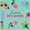 Les fleurs de canon - Au rendez-vous des Normands