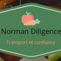 Norman Diligence - Au rendez-vous des Normands