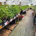 Plant'Eure - Au rendez-vous des Normands