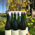 Cidre de la Chesnaie - Au rendez-vous des Normands
